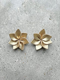 Star Flower Leather Earrings